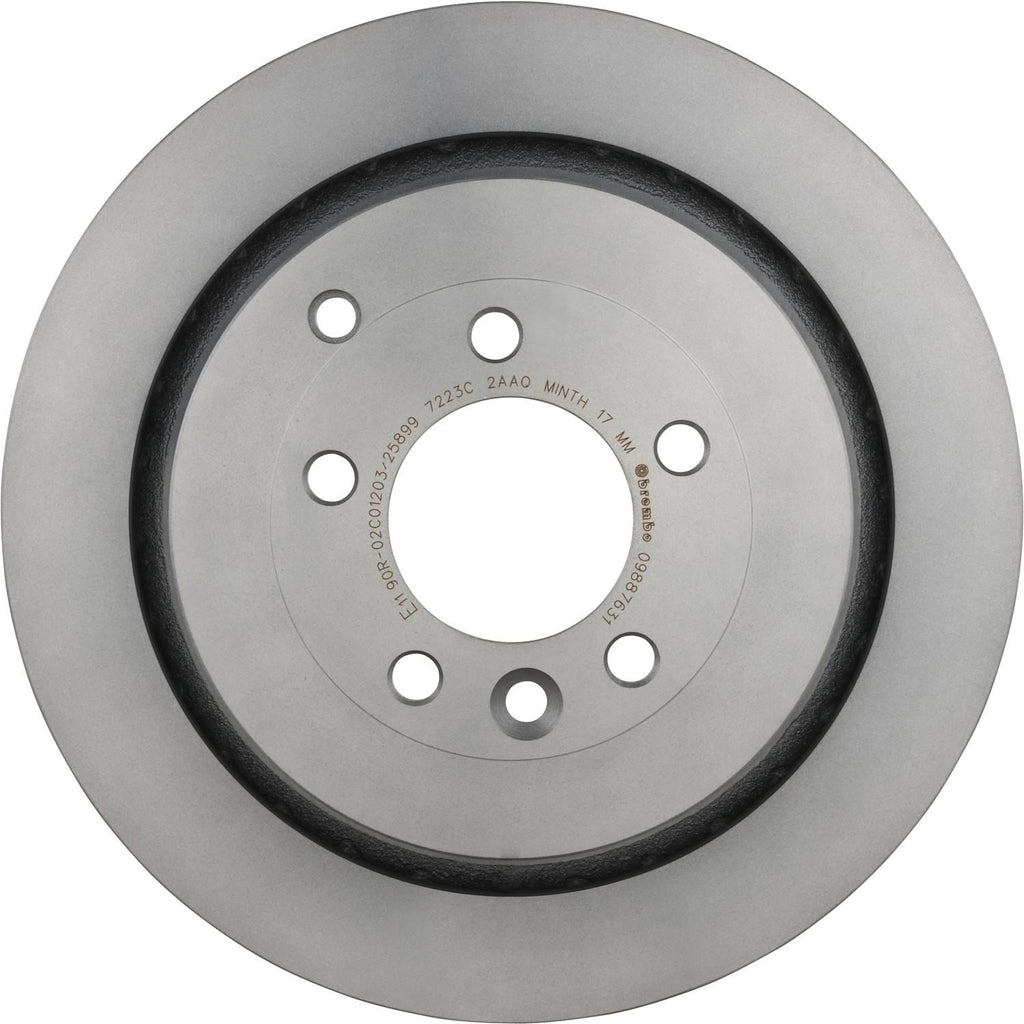 Brembo Disc Brake Rotor 09.8876.31