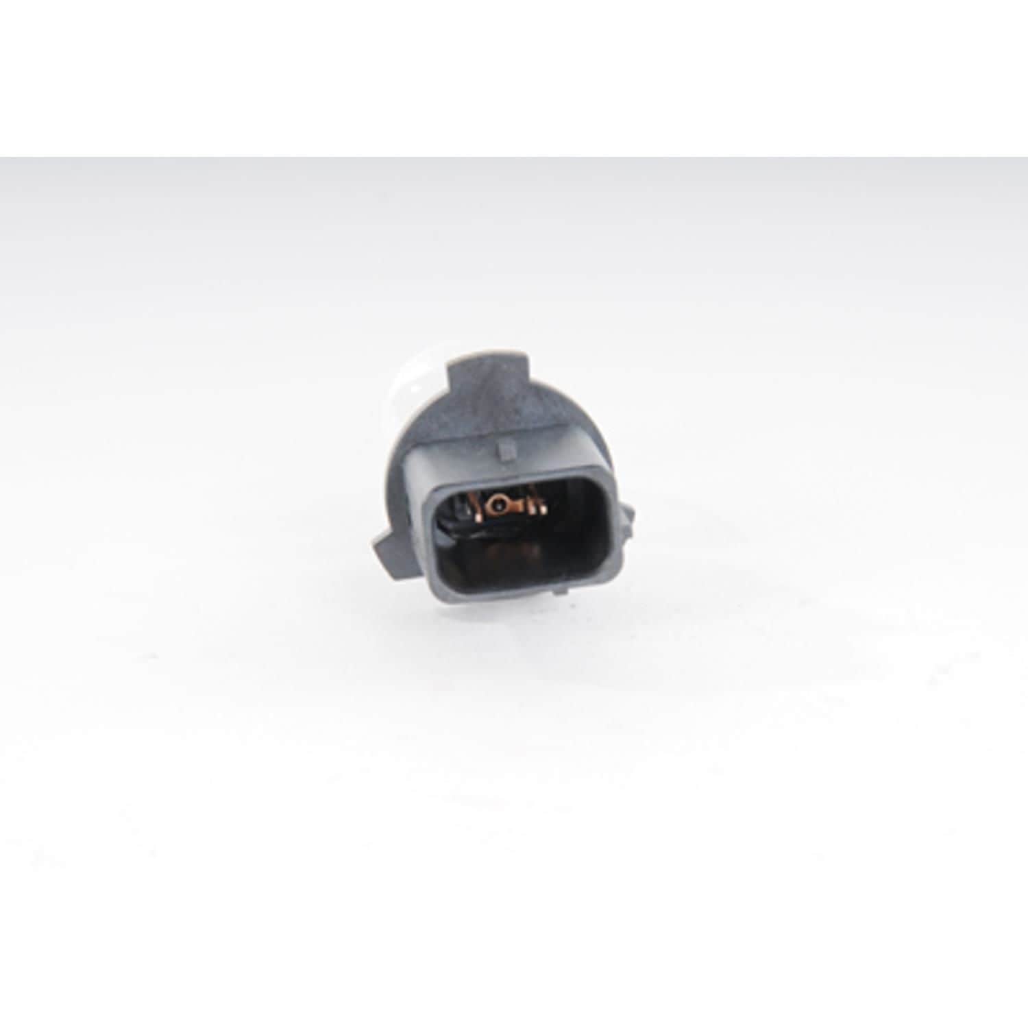 GM Genuine Parts Bulb 13582913