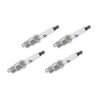 Professional Double Platinum Spark Plug 41-905