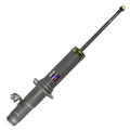 Sensen Strut Assembly 42130303