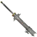 Sensen Strut Assembly 42140183