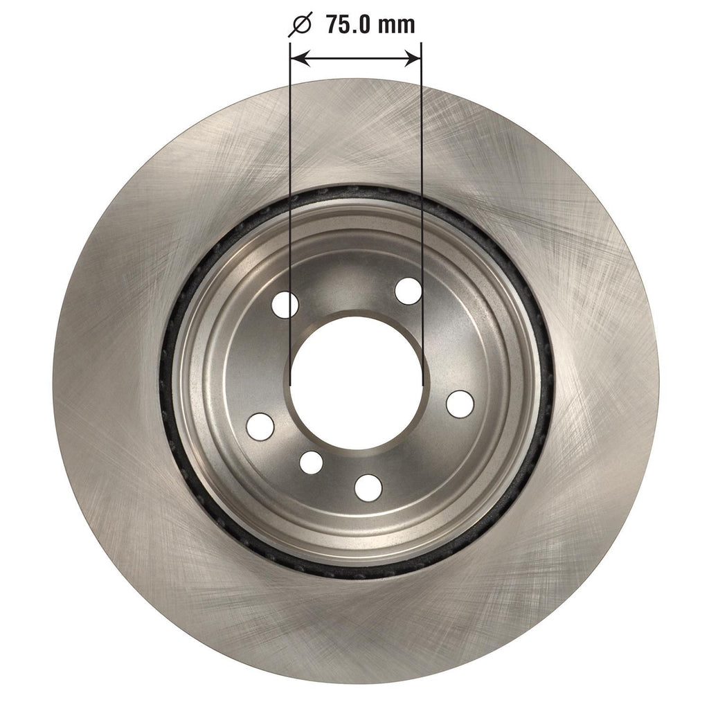 Disc Brake Rotor 45531
