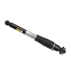 Shock 504-146