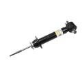 GM Genuine Parts Suspension Shock Absorber 540-1676
