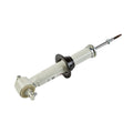 GM Genuine Parts Suspension Shock Absorber 540-1710