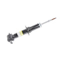 GM Genuine Parts Suspension Shock Absorber 540-1724