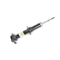 GM Genuine Parts Suspension Shock Absorber 540-1725