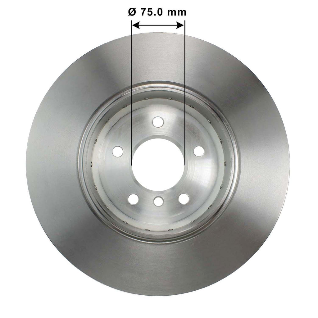 Disc Brake Rotor 73003