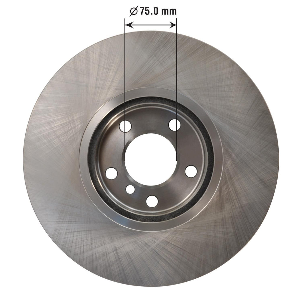 Disc Brake Rotor 73011