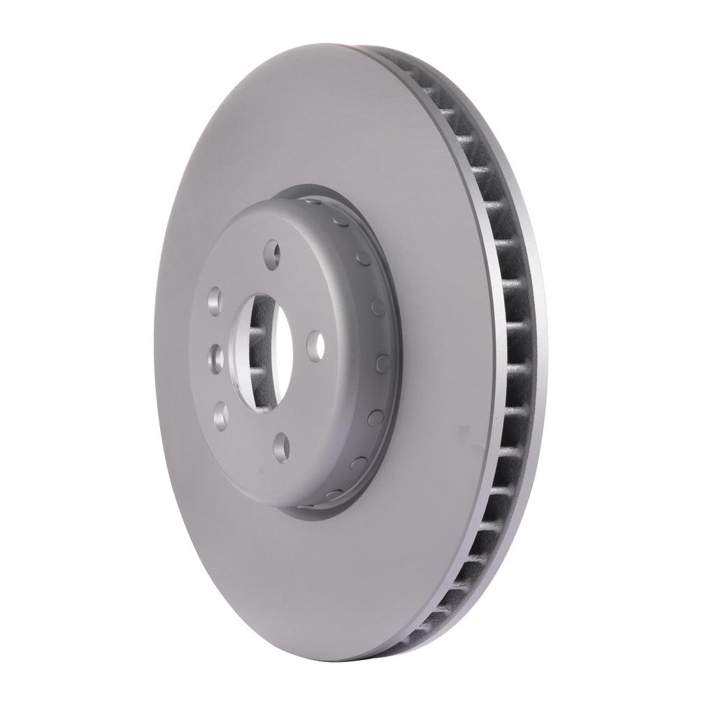 Disc Brake Rotor 73066DLC