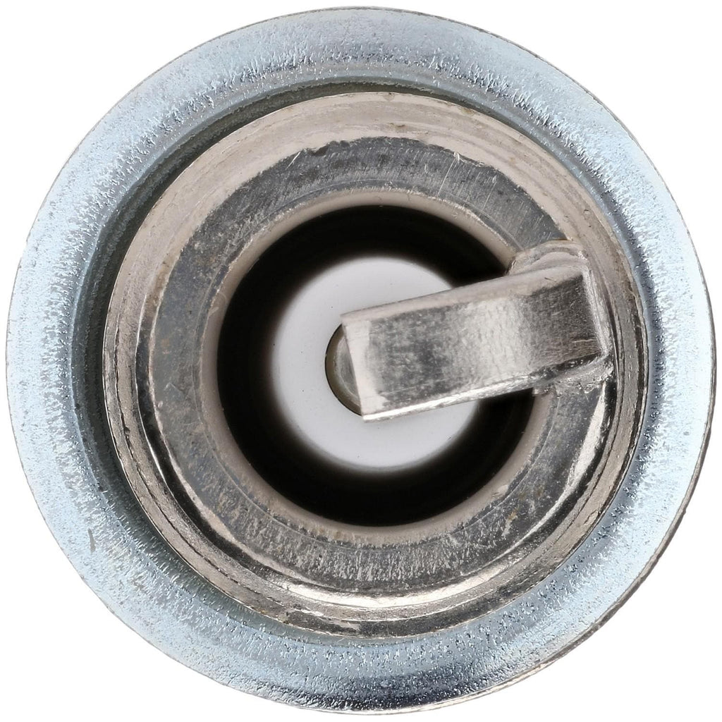 Bosch Double Platinum Spark Plug 8100