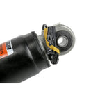 Shock 84176675