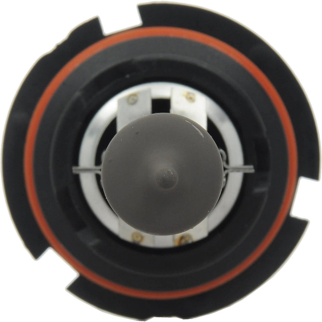XtraVision Headlight and Fog Light Bulb 9007XV