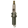 Champion Iridium Spark Plug 9055