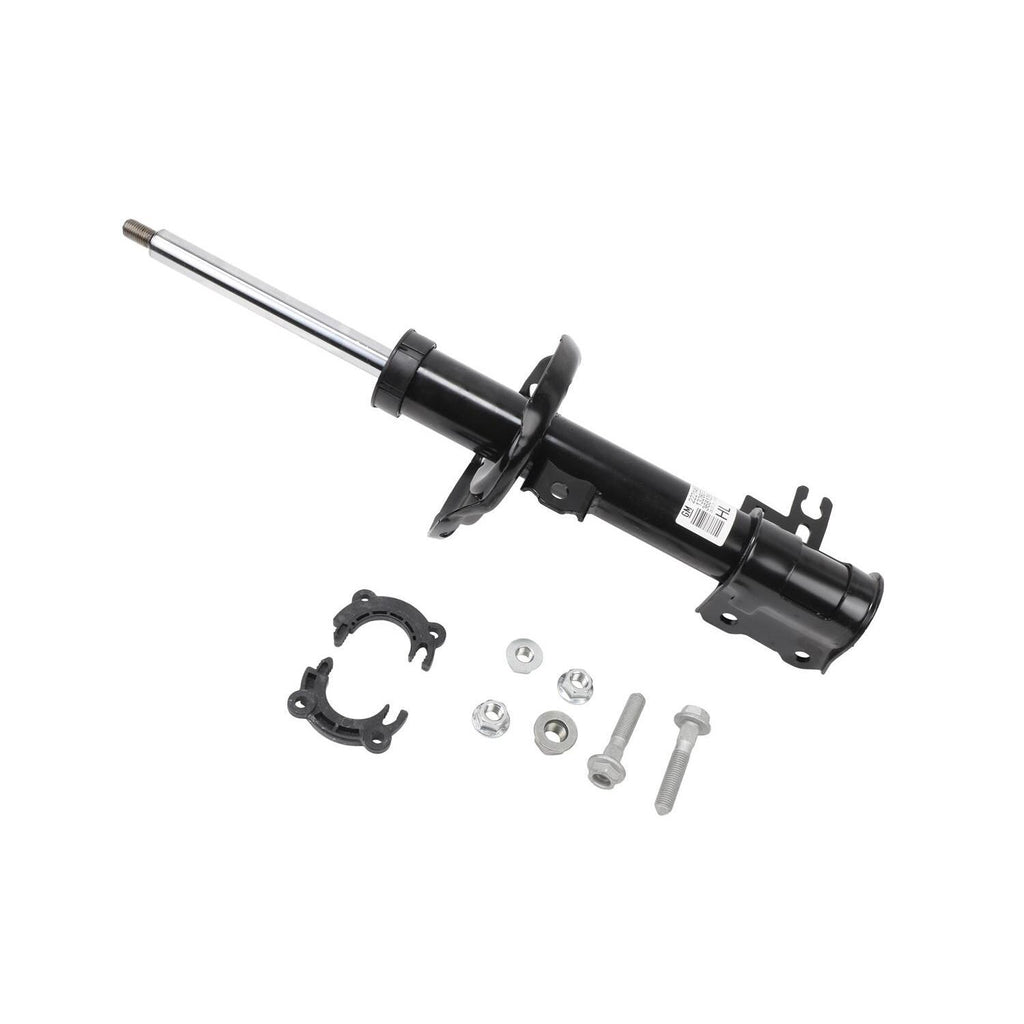 GM Genuine Parts Strut Assembly 93195924