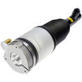 Dorman - OE Solutions Air Suspension Strut 949-464