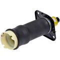 Dorman Suspension Air Strut / Shocks 949-950
