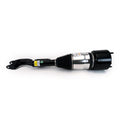 Arnott Industries Air Suspension Strut AS-3522