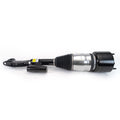 Arnott Industries Air Suspension Strut AS-3523