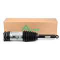Arnott Suspension Air Strut / Shocks AS-3749