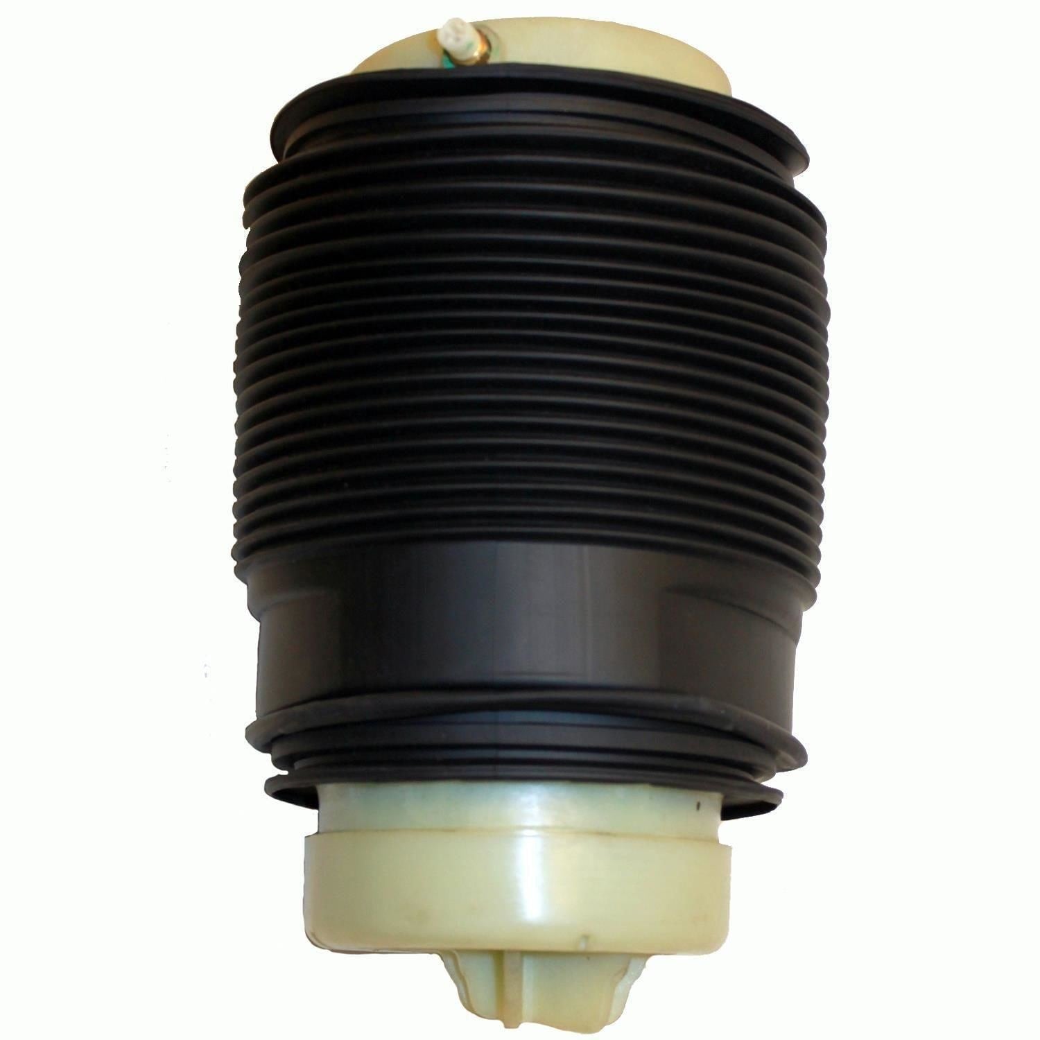 Westar Air Suspension Spring AS-7041