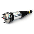 Arnott Industries Air Suspension Strut ASE-4369