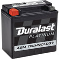 Platinum Group Size 401 Absorbed Glass Mat (AGM) Auxiliary Battery AUX12