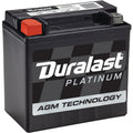 Platinum Group Size 400 Absorbed Glass Mat (AGM) Auxiliary Battery AUX14
