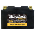 Gold Powersport Absorbed Glass Mat (AGM) Battery AZX12S