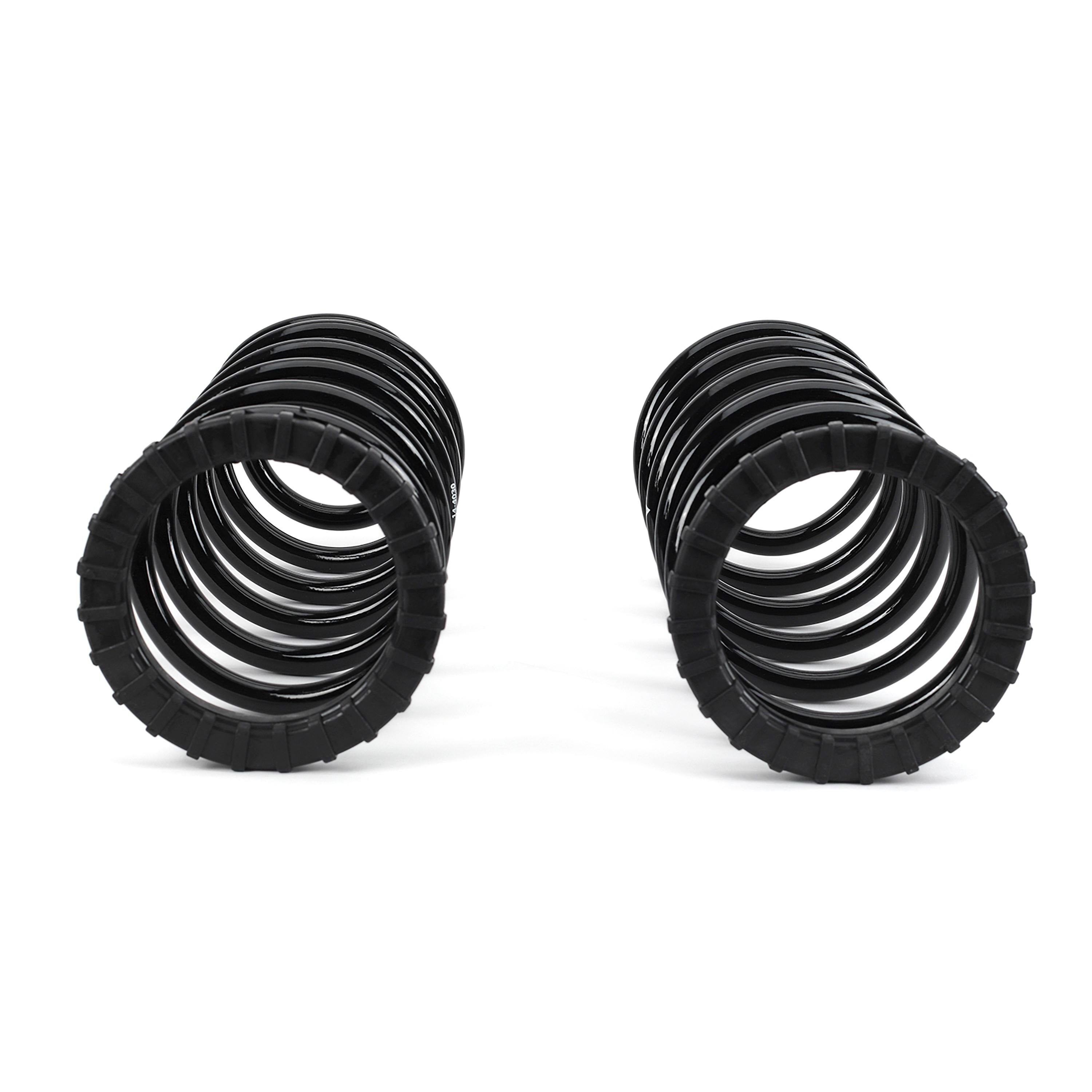 Arnott Air Spring to Coil Spring Kit C-2410