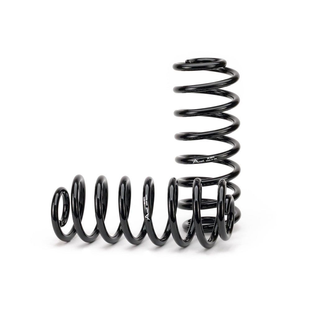Arnott Air Spring to Coil Spring Kit C-2667