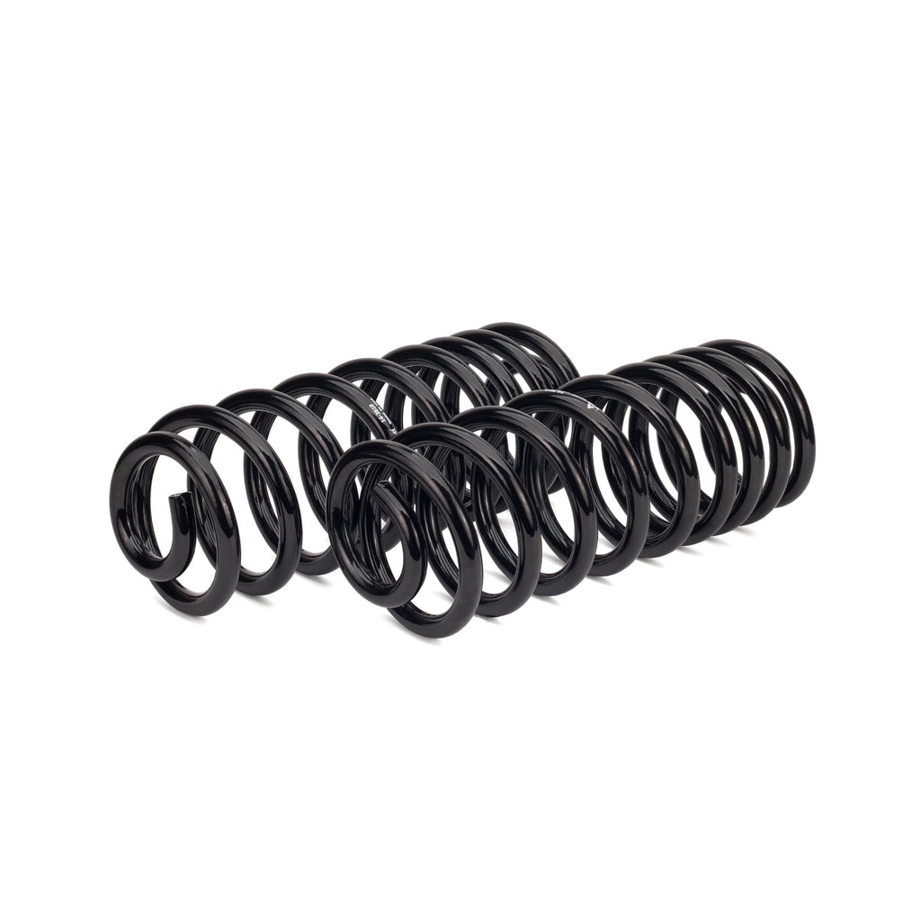 Arnott Air Spring to Coil Spring Kit C-2987