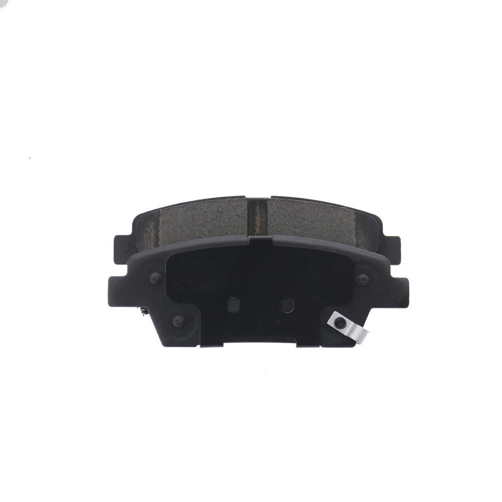 Ceramic Disc Brake Pad Set D2100