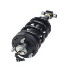 Suspension Strut and Coil Spring Assembly ES34-50011B