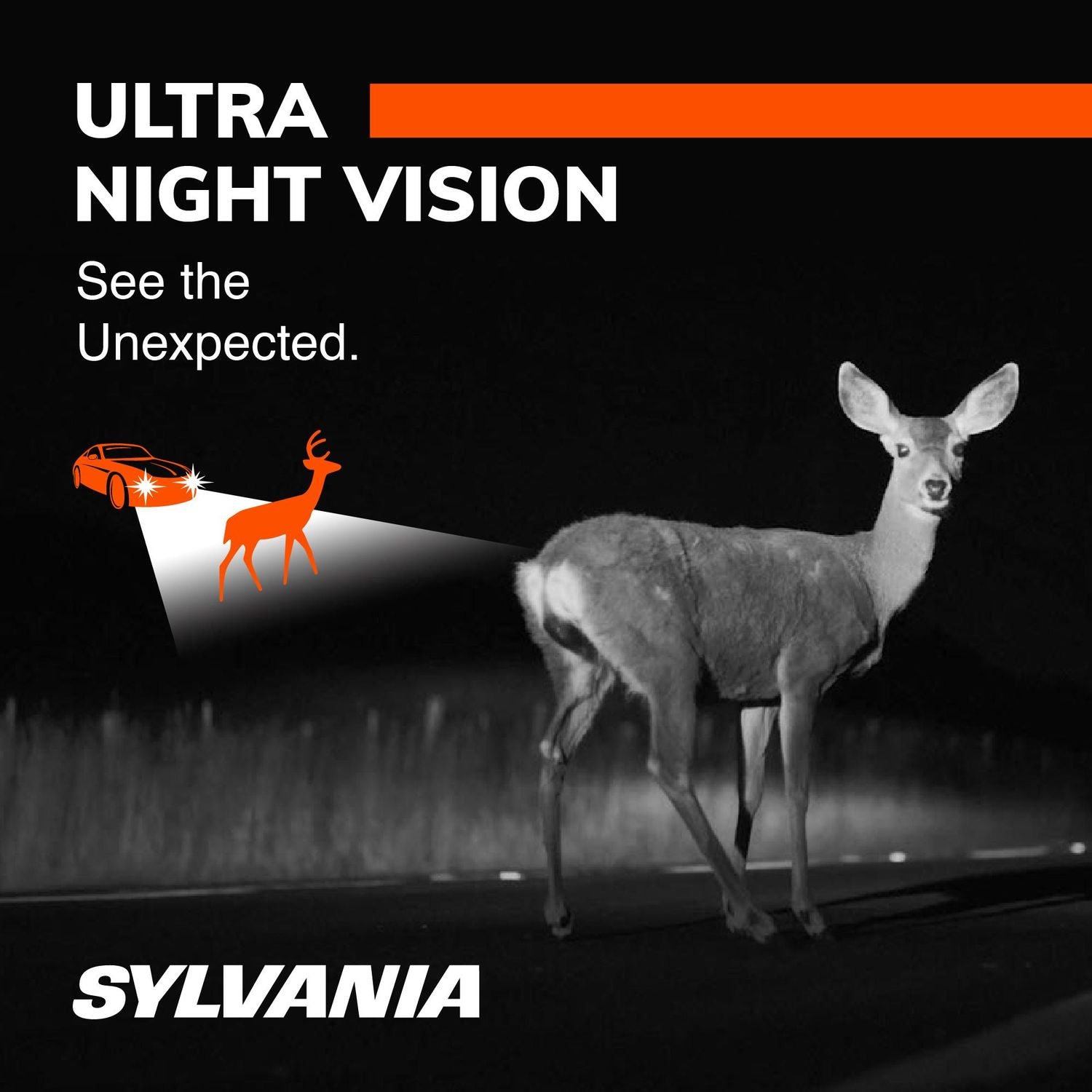 Sylvania SilverStar Ultra Bulb H11BSU-2