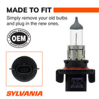 XtraVision Headlight and Fog Light Bulb H13XV