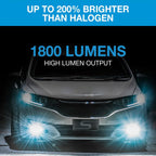 TYPE S Fog Light LM533076-60-6