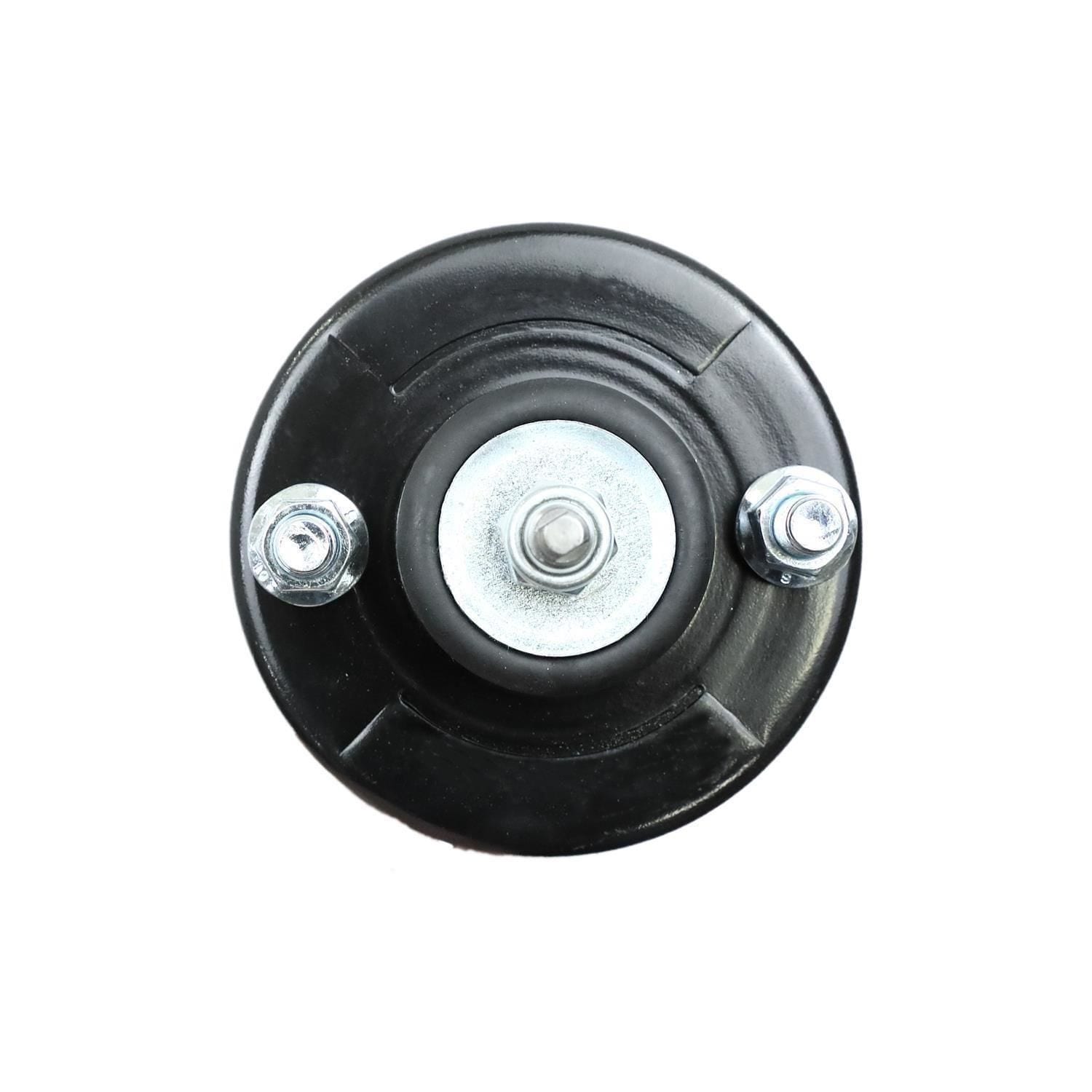 Suspension Strut and Coil Spring Assembly LS33-80011L