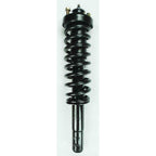 Suspension Strut and Coil Spring Assembly LS33-80011R