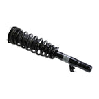 Suspension Strut and Coil Spring Assembly LS33-80021R