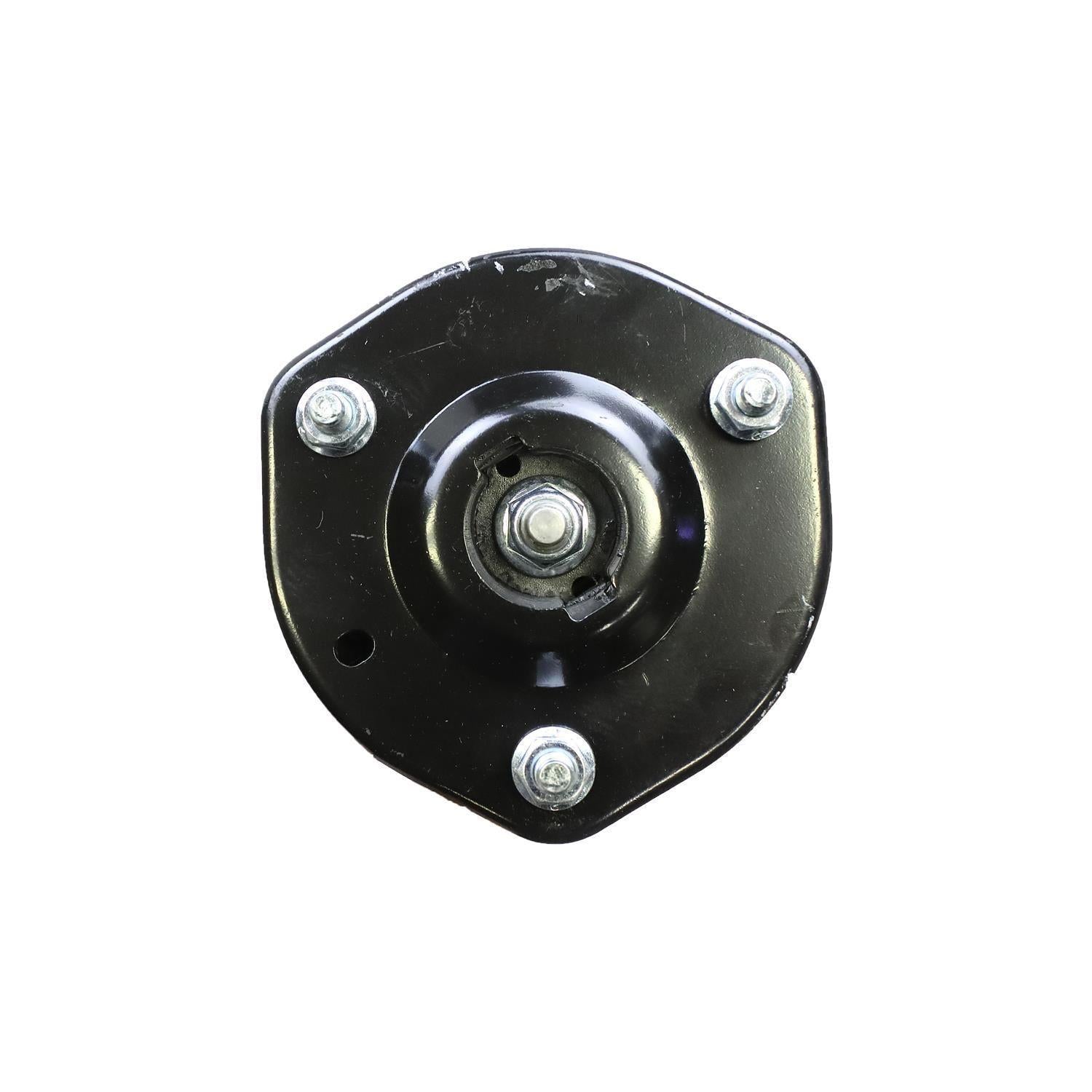 Suspension Strut and Coil Spring Assembly LS33-80021R