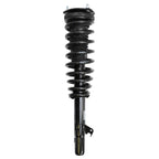 Suspension Strut and Coil Spring Assembly LS33-80031L