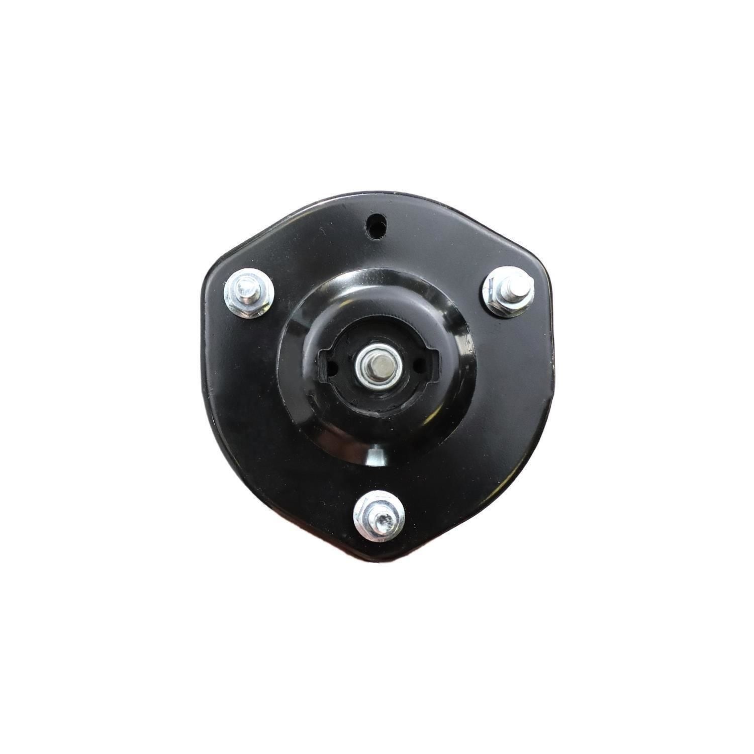 Suspension Strut and Coil Spring Assembly LS33-80031R