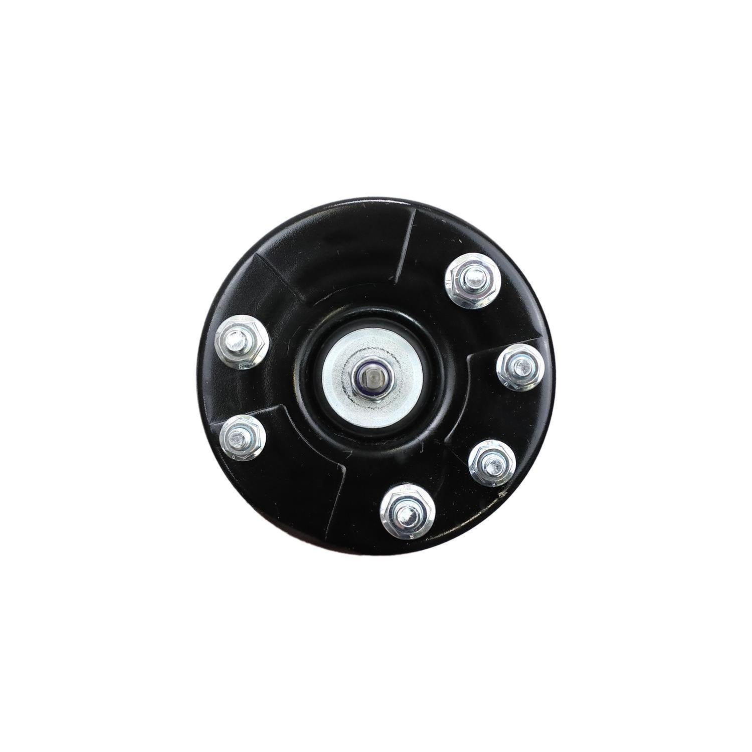 Suspension Strut and Coil Spring Assembly LS33-80111L