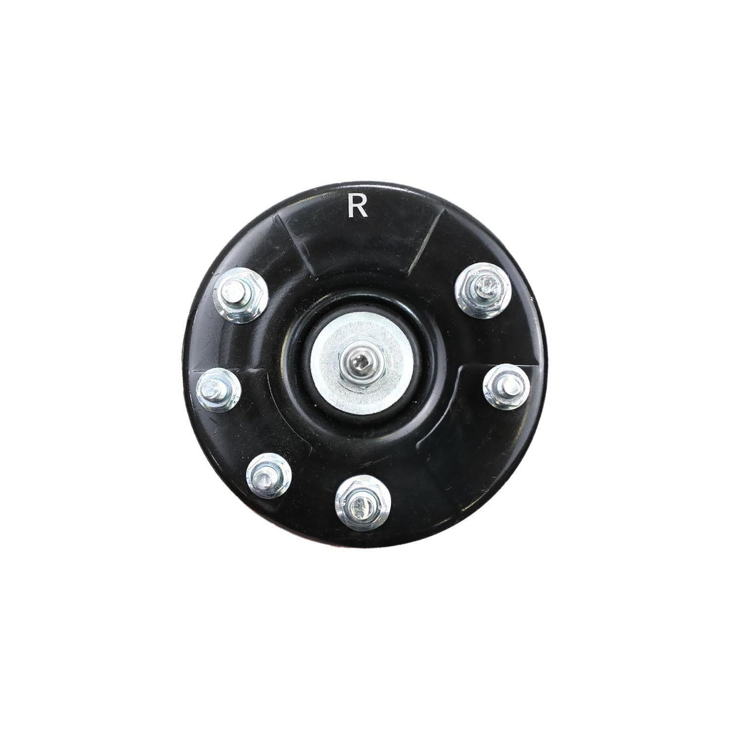 Suspension Strut and Coil Spring Assembly LS33-80111R