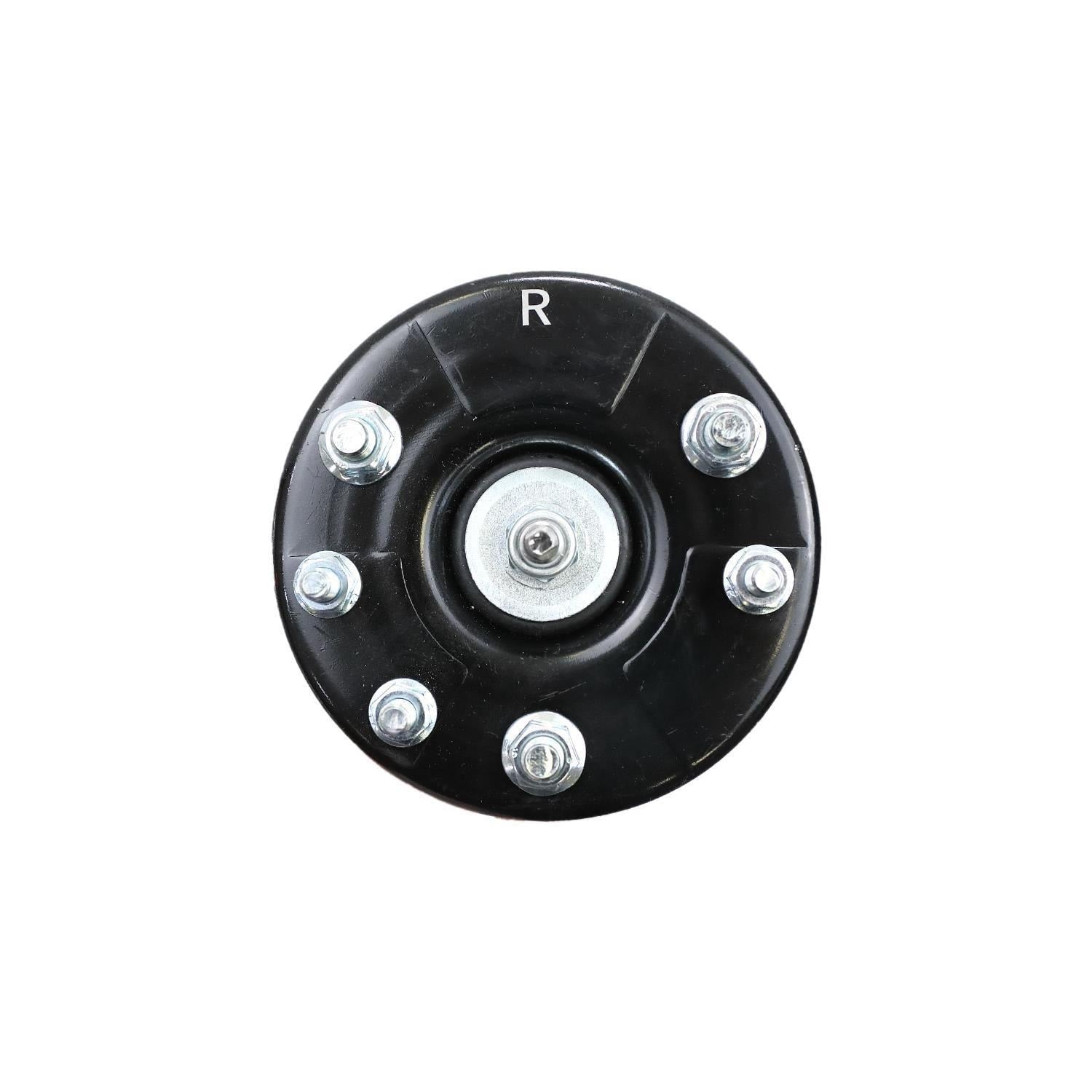 Suspension Strut and Coil Spring Assembly LS33-80111R