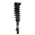 Suspension Strut and Coil Spring Assembly LS33-80121L