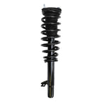Suspension Strut and Coil Spring Assembly LS33-80131R