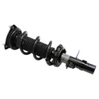Suspension Strut and Coil Spring Assembly LS33-80141R