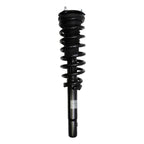 Suspension Strut and Coil Spring Assembly LS33-80161B